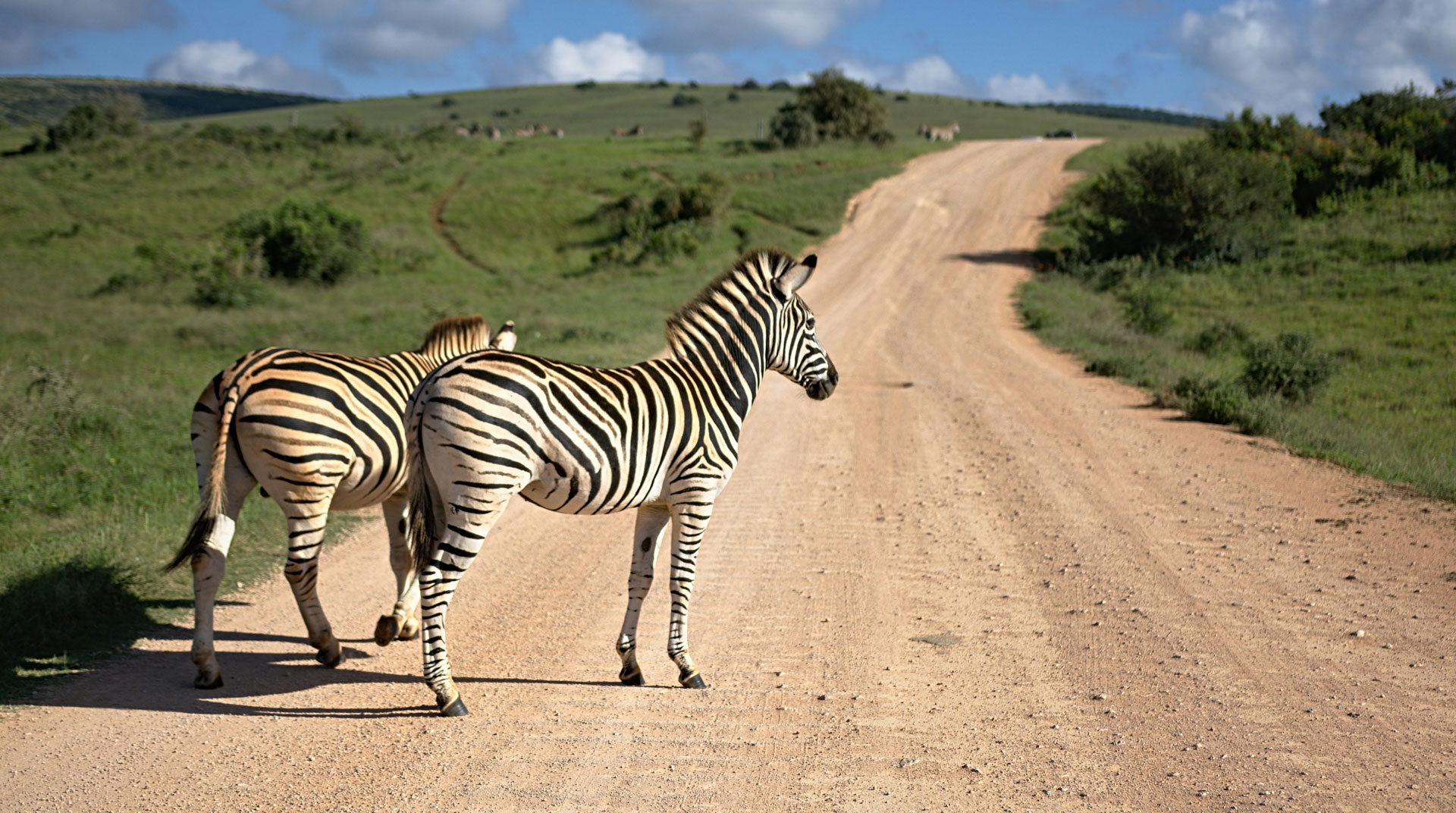 http://cloud9travel.ie/wp-content/uploads/Cloud9-safari-holidays.jpg